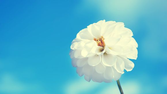 银监会电话投诉电话