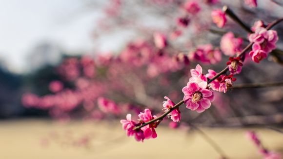 什么叫0窗口