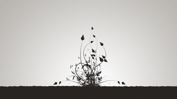 dnf无法双开