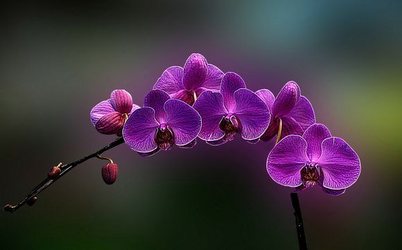 zxcvb代表什么意思