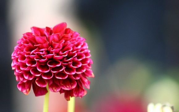 天津中医药大学研究生院